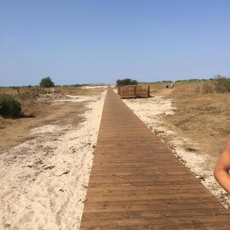 Nordseegras Horumersiel