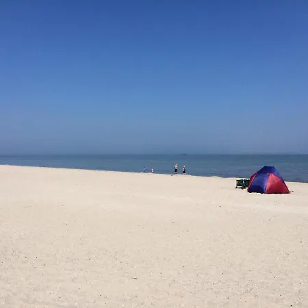 Nordseegras Horumersiel