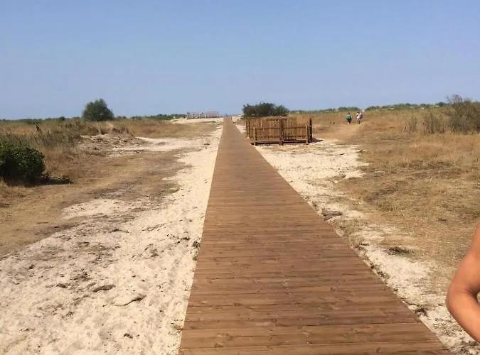 Nordseegras Horumersiel